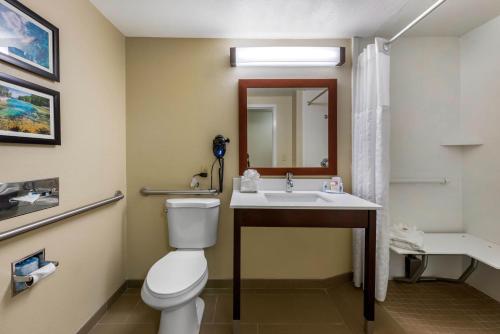 Comfort Inn Ocala Silver Springs In Fl