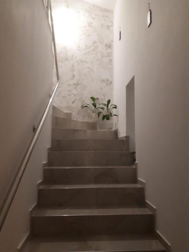 Top Style Villa 2