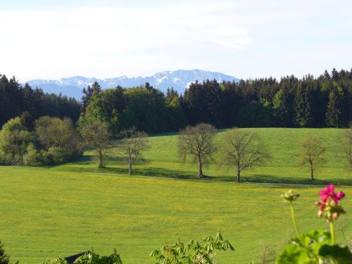 Landgasthof Berg