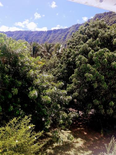 Maison calme dans jardin fruitier Sud Sauvage Reunion island