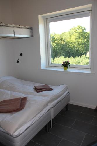 ICV SleepWell - image 13