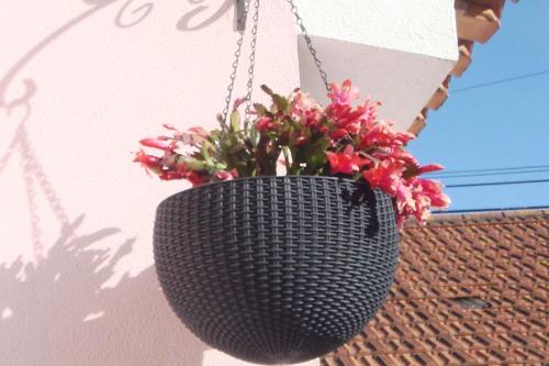  Campo de Oleandros in Lourinhã