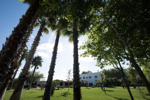 Parco Degli Aranci