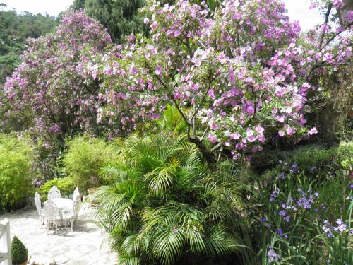 Villa Violeta, Petrópolis (foto 7)