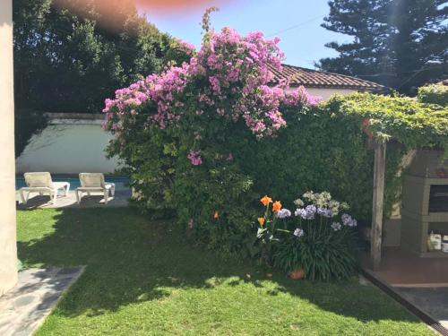 Villa Black Bnb