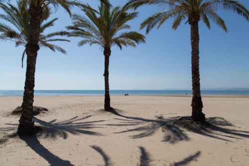 Los Olivos Apartment Cullera - image 4
