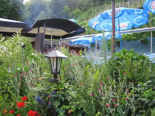Landhotel Weinhaus Treis - image 5