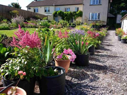 Brambles Bed and Breakfast - image 5