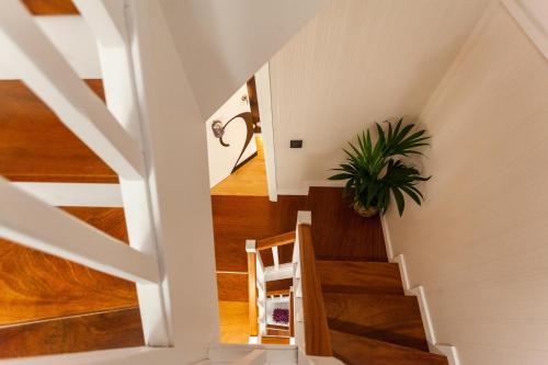 APARTAMENTOS FRANJA 55 - image 2