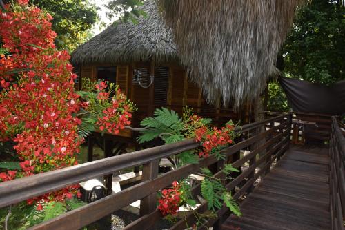 Exterior view, Gite du Manial "Cabane du sentier des etoiles" in Pointe-Noire