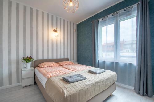 1 queen bed, 1 sofa bed