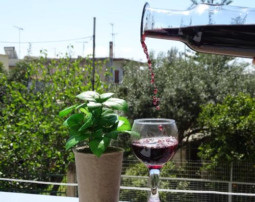  Sun- Sea & Sky  holidays in Porto cheli in 21300 Rozaíika