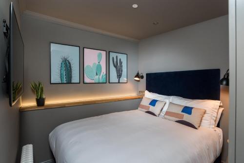 1 queen bed, 1 sofa bed