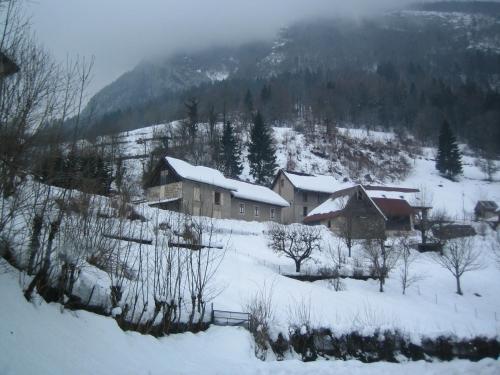 La Chouette à l'heure du Pinson