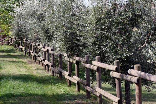 Romitorio di Castiglione del Lago