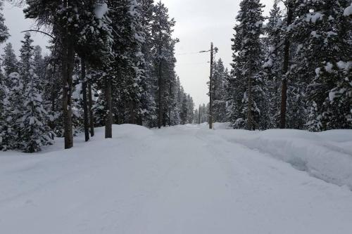 6 miles from Park entrance -Moose