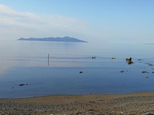 Kapiti Waves Beach Retreat