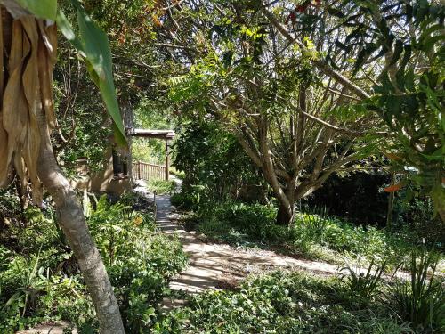 Veki's Village Cottages - image 5