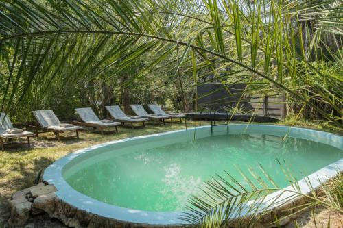 View, Xaro Lodge in Shakawe