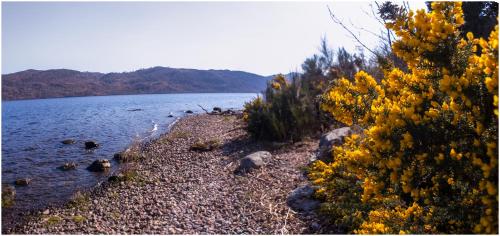 Loch Ness Lochside Hostel, Over 16s Only