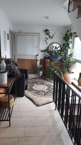 Hotel Restaurant Anna - image 13
