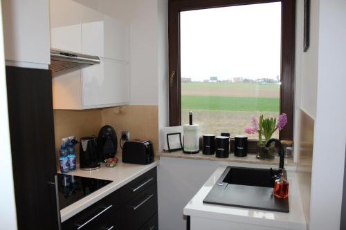 Apartament Fibra Aroma
