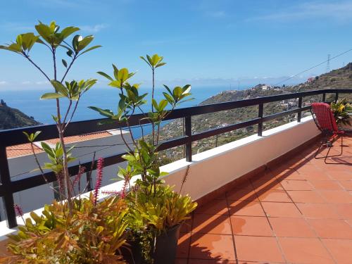  Madeira Gina's Village in 9350-074 Ribeira Brava