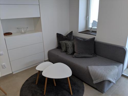 AP10 - Apartments 4U Březinova "Overnight Simply" Booking.com提供写真