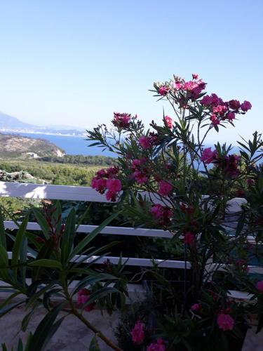 Apartments Jovanic with 2 bedrooms - image 5