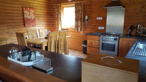 virtuve, Pantglas Hall Holiday Lodges and Leisure Club in Llanegwad