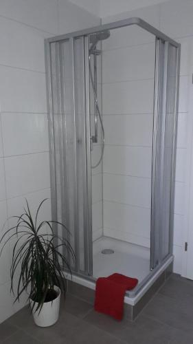 NEW LOOK in Frankenberg, Deutschland