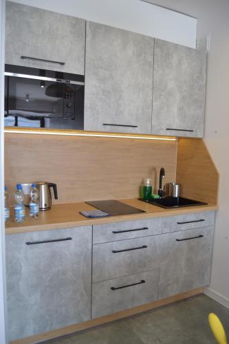 Apartament City Center Perfect - Luxury Standard