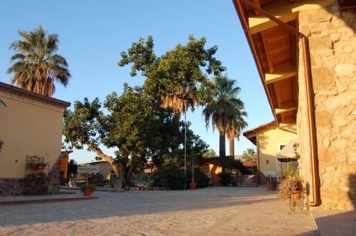 Il Giardino Del Sole - image 14