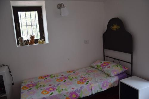 Casa Regia