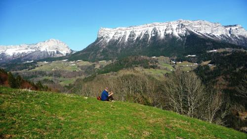 La Chouette à l'heure du Pinson