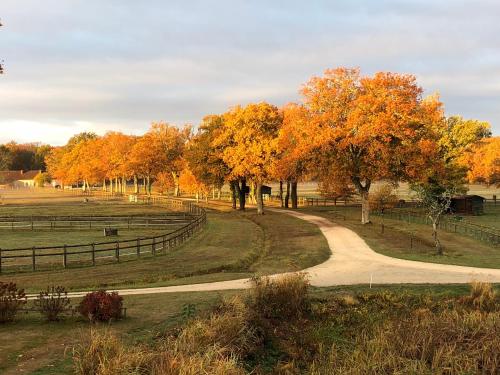 haras du Vignault Le Bûcher - Chambre d'hôtes - Salbris