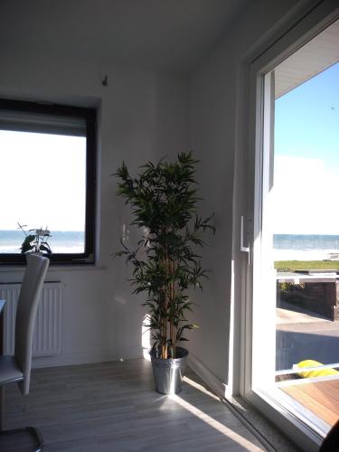 View, Ferienwohnung mit Meerblick in Dahme