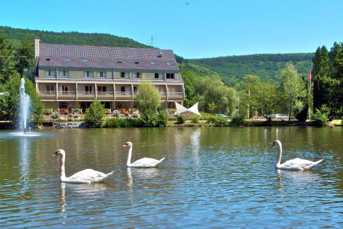 Hotel Du Lac - Hôtel - Guebwiller