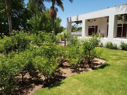 陽台/露台, Zonnevanger Guesthouse in 帕阿爾