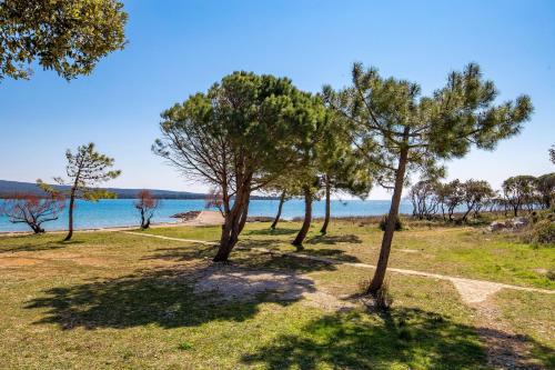 Apartment in pinewood near the sea