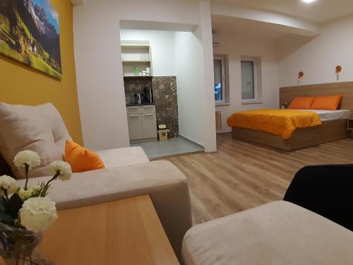 Bojana Apartment - Negotino
