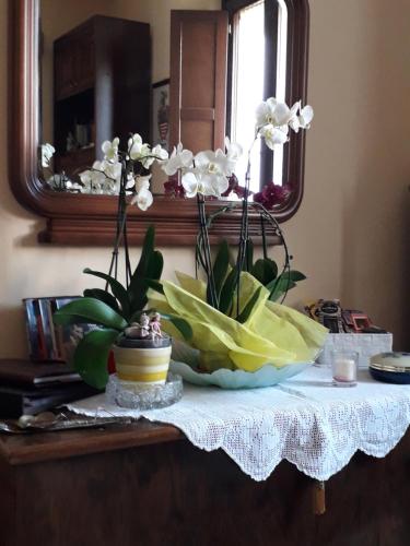 Bed&Breakfast Pianeta Benessere - image 4