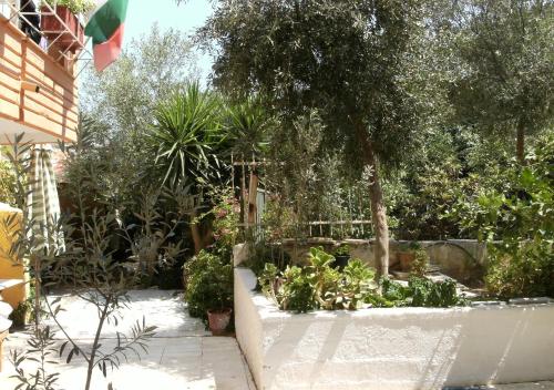 Katerina Hotel - image 8