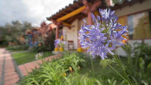 Termales El Otoño