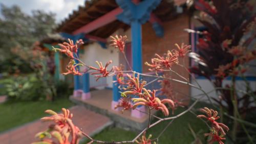 Termales El Otoño