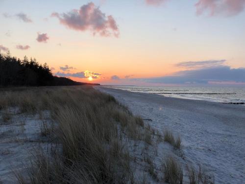 MeerZeit, Zingst (fotografie 3)