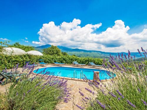  Apartment Papavero by Interhome in Santa Fiora