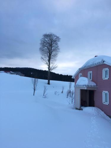  Hıdırnebi Villa in Trabzon