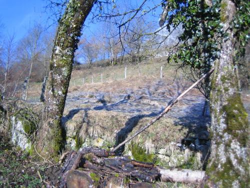 La Chouette à l'heure du Pinson