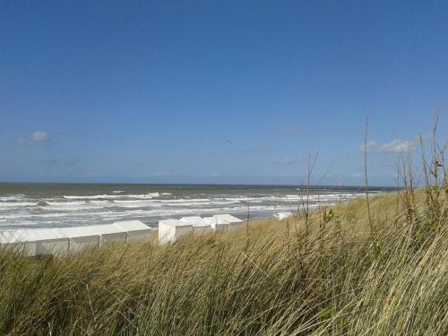  Apartment Le Roi Chevalier in De Panne